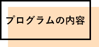 プログラムの内容